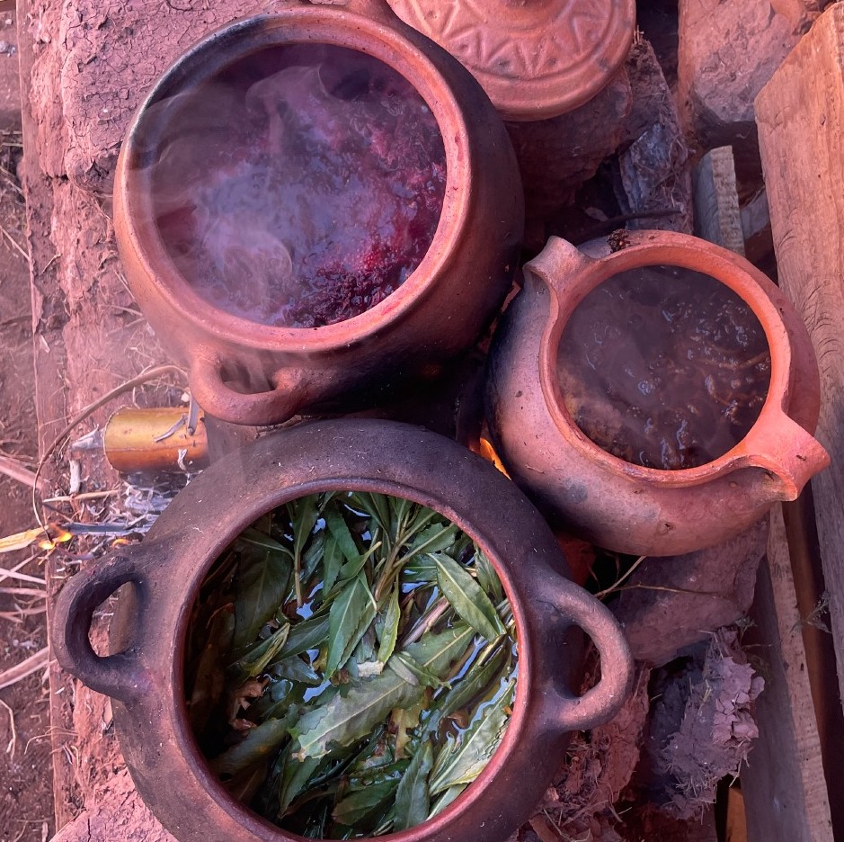 Clay pots holding natural dye baths