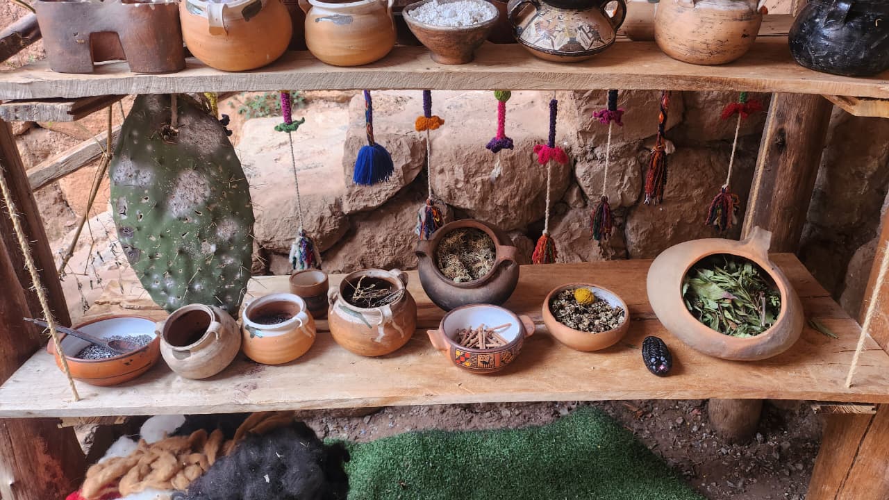 Shelf of vessels, seeds and plants used for dyeing