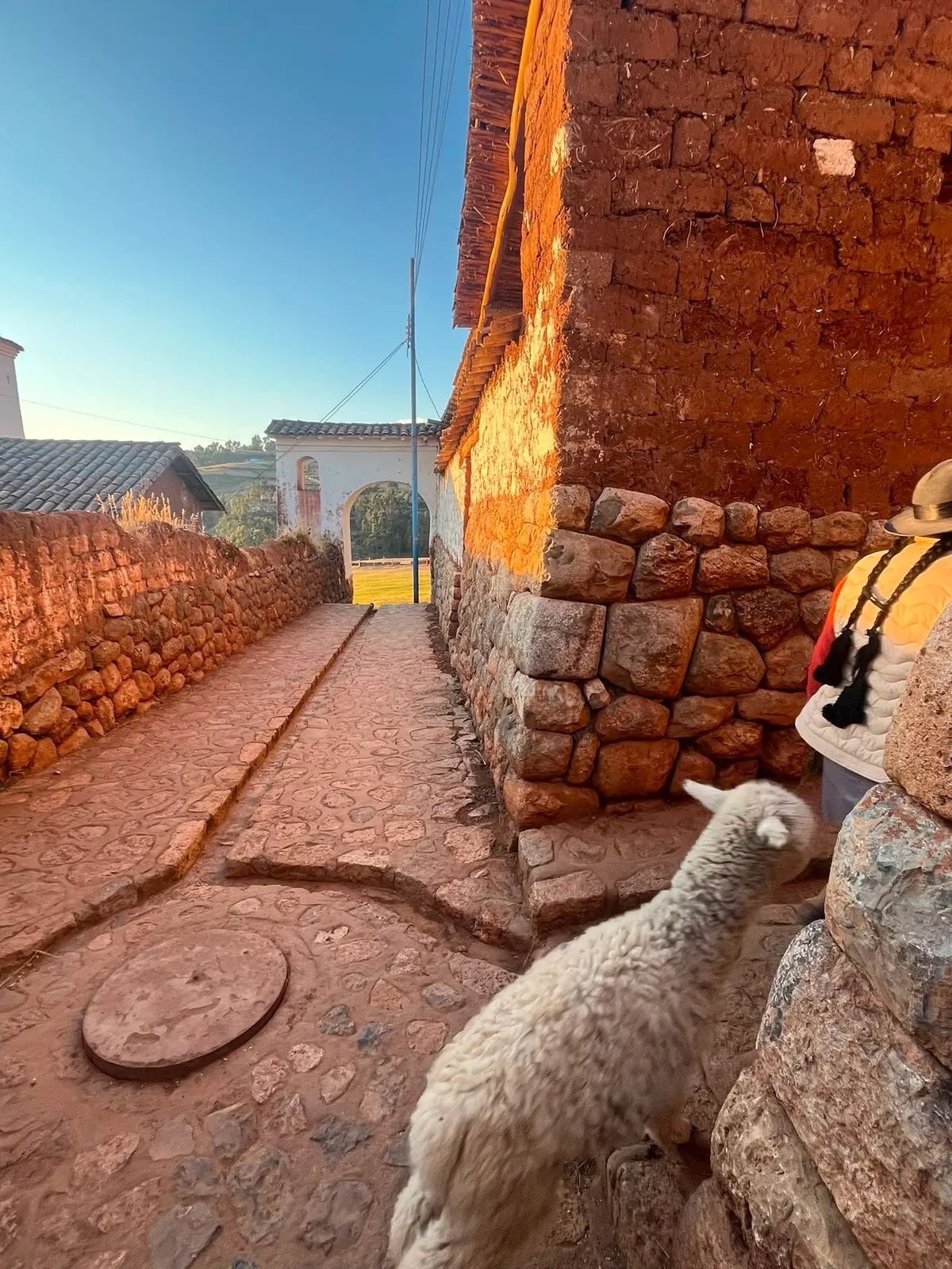 Cobbled lane in Chinchero with a baby alpaca