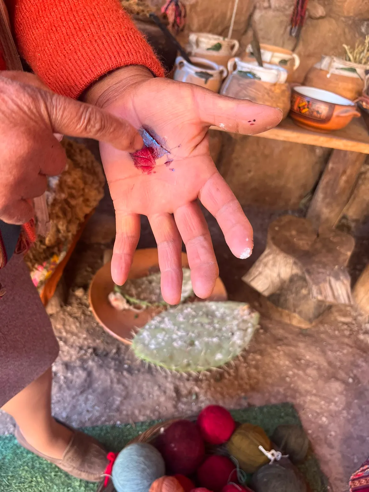 Hand with a red cochineal stain next to a prickly pear pad